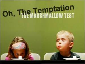 The “marshmallow studies
